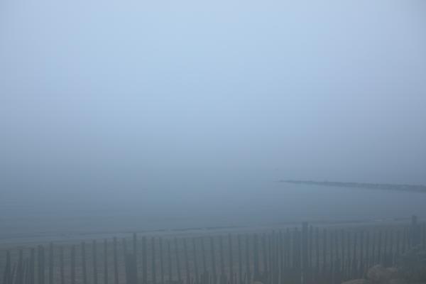 Foggy
